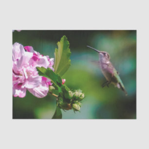 Ruby-throated Hummingbird - Original Photograph Tissue Paper