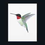 Ruby-throated Hummingbird Postcard<br><div class="desc">Postcard featuring a hand-painted Ruby-throated Hummingbird by C. Dobbins.</div>