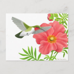 Ruby Throated Hummingbird Postcard