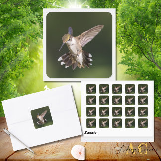 Ruby-Throated Hummingbird Square Sticker