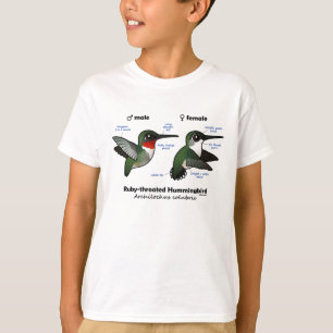 Ruby-throated Hummingbird Statistics T-Shirt