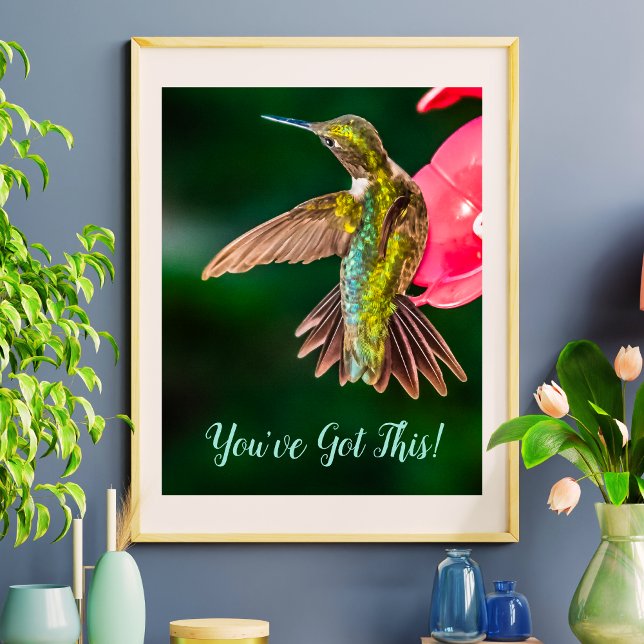 Ruby Throated Hummingbird You've Got This Quote Poster (Ruby Throated Hummingbird You've Got This Quote Poster)