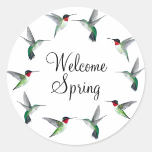 Ruby-throated Hummingbirds Welcome Spring Classic Round Sticker
