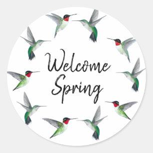 Ruby-throated Hummingbirds Welcome Spring Classic Round Sticker