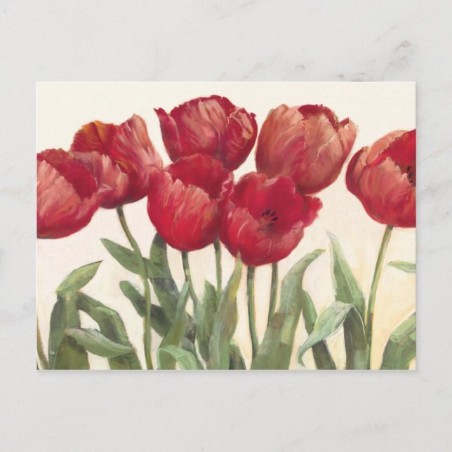 Ruby Tulips Postcard (Front)