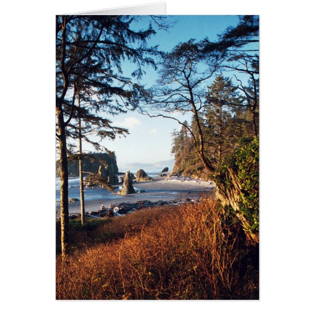 RubyBeach (Front)