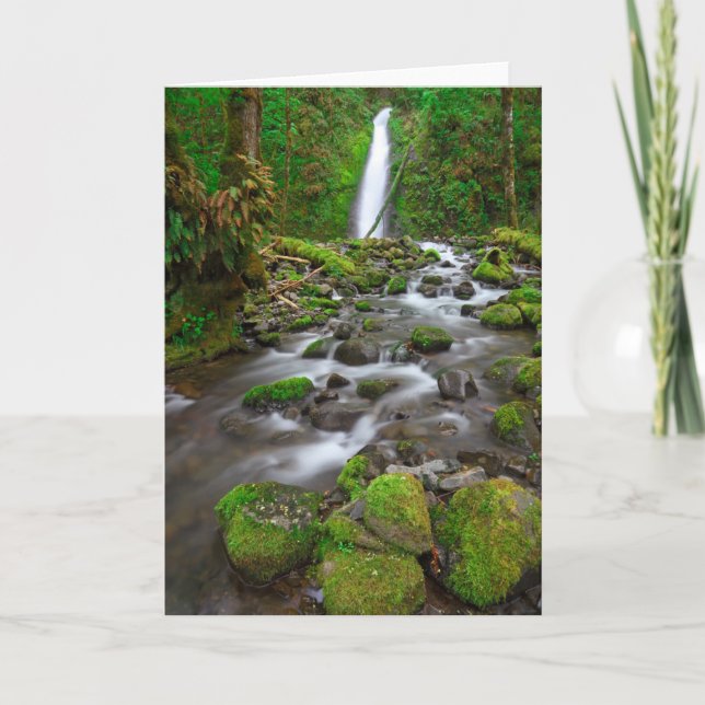 Ruckel Creek Falls, Columbia River Gorge Oregon Card (Front)