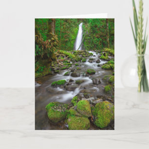 Ruckel Creek Falls, Columbia River Gorge Oregon Card