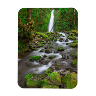 Ruckel Creek Falls, Columbia River Gorge Oregon Magnet