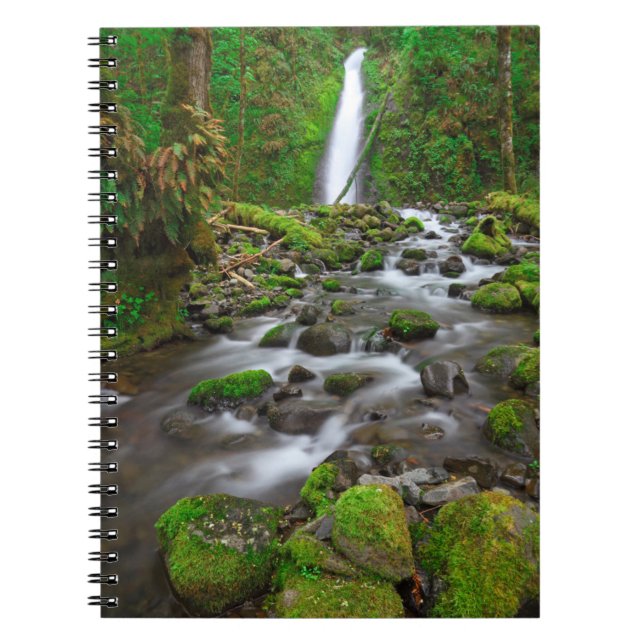 Ruckel Creek Falls, Columbia River Gorge Oregon Notebook (Front)