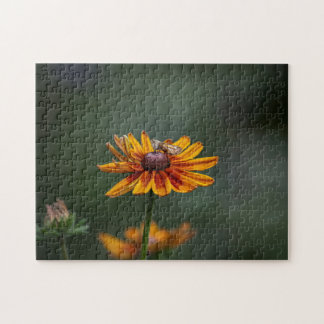 Rudbeckia Sitting Pretty Puzzle