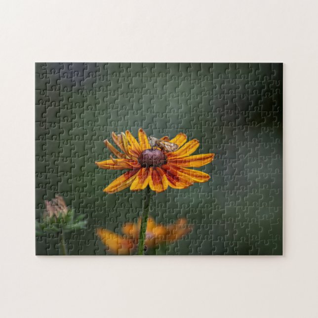 Rudbeckia Sitting Pretty Puzzle (Horizontal)