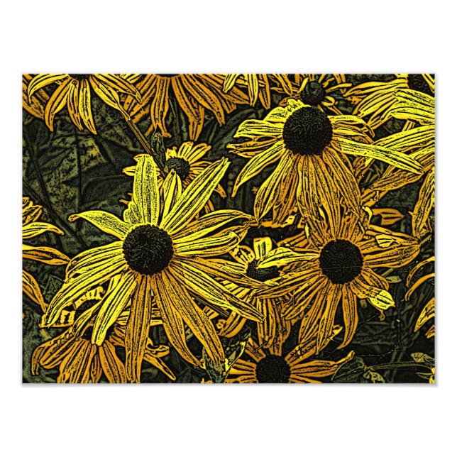 RUDBECKIAS PHOTO PRINT (Front)