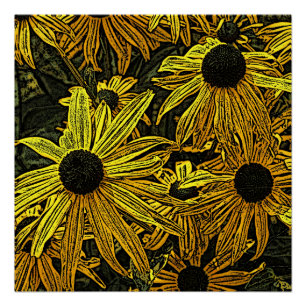 RUDBECKIAS POSTER