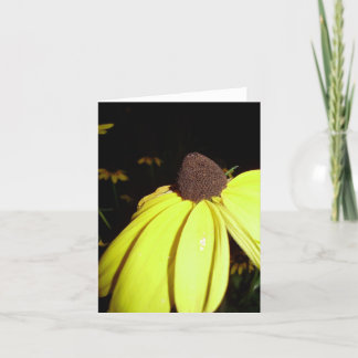 Rudebekia notecard