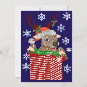 Rudolf Christmas Greeting Holiday Card