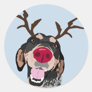 Rudolph Bluetick Coonhound Classic Round Sticker