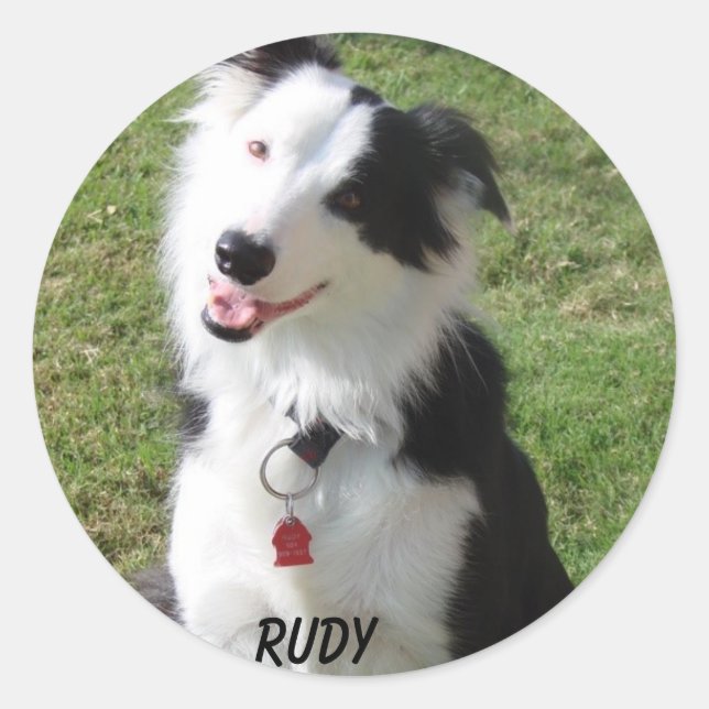 RUDY CLASSIC ROUND STICKER (Front)