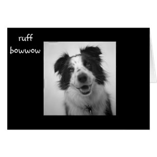 RUFF BOWWOW "40th BIRTHDAY"