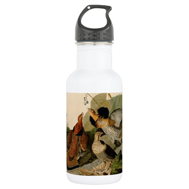 Ruffed Grouse Audubon Game Bird 532 Ml Water Bottle (Front)