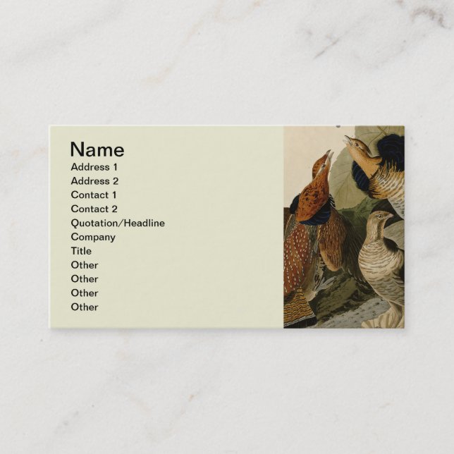 Ruffed Grouse Audubon Game Bird Business Card (Front)