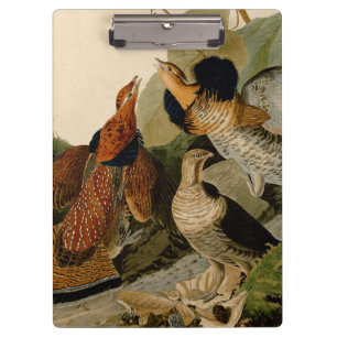 Ruffed Grouse Audubon Game Bird Clipboard