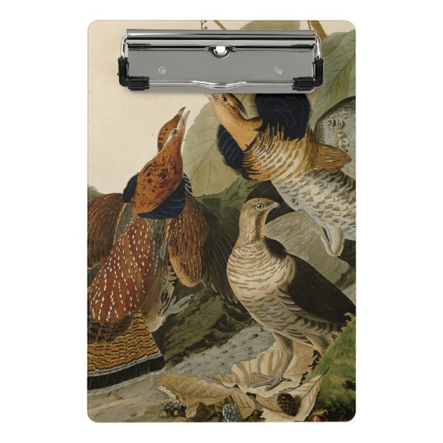 Ruffed Grouse Audubon Game Bird Mini Clipboard (Front)