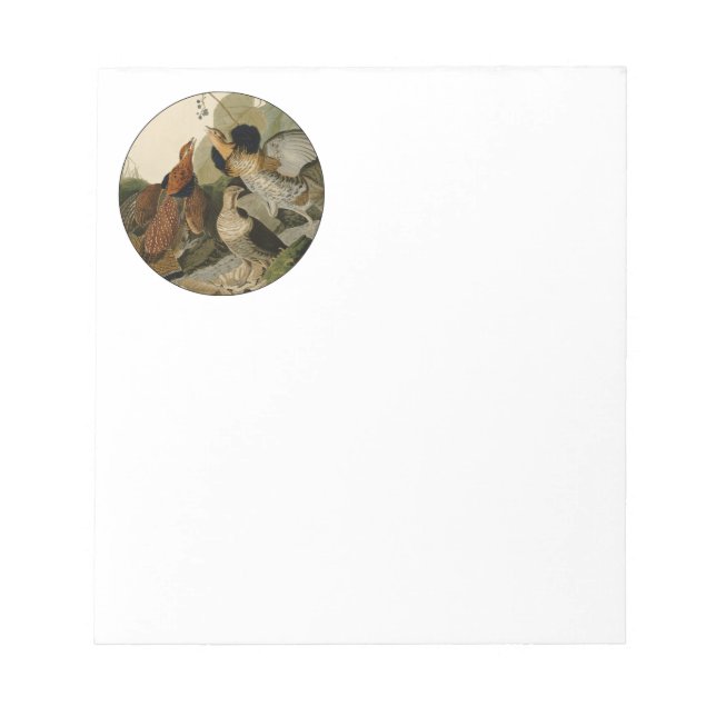 Ruffed Grouse Audubon Game Bird Notepad (Front)