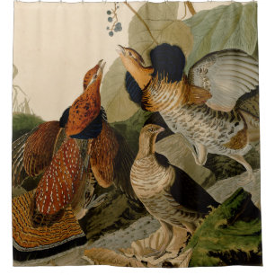 Ruffed Grouse Audubon Game Bird Shower Curtain