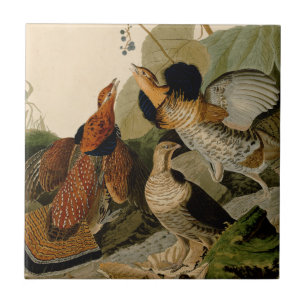 Ruffed Grouse Audubon Game Bird Tile