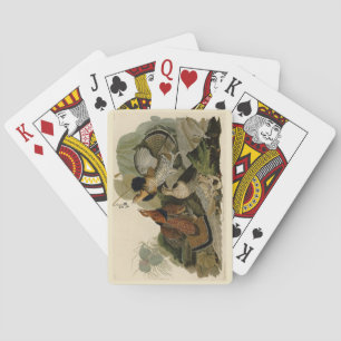Ruffed Grouse - from Audubon's Birds of America Playing Cards