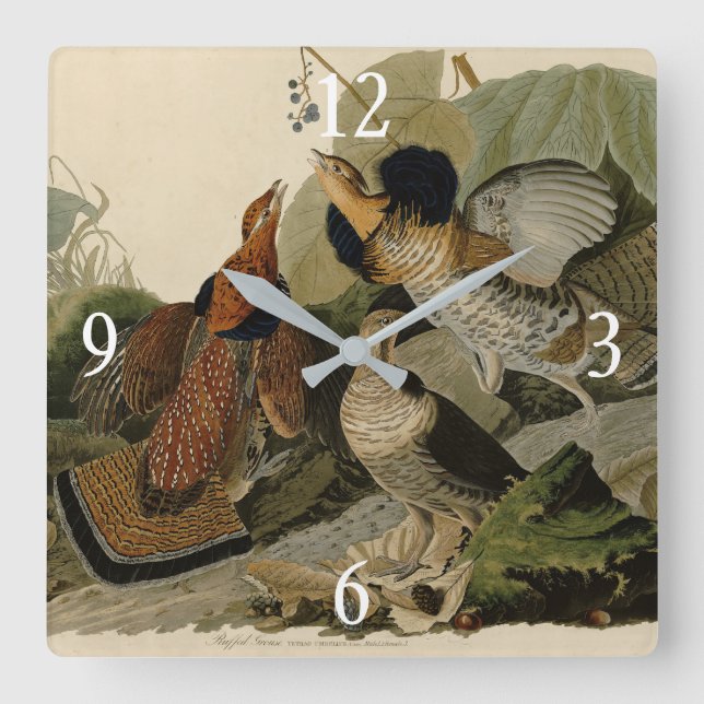 Ruffed Grouse - from Audubon's Birds of America Square Wall Clock (Front)