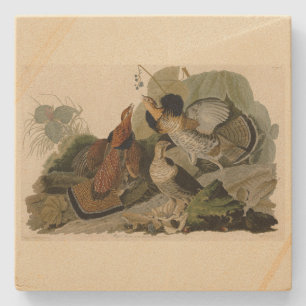 Ruffed Grouse - from Audubon's Birds of America Stone Coaster