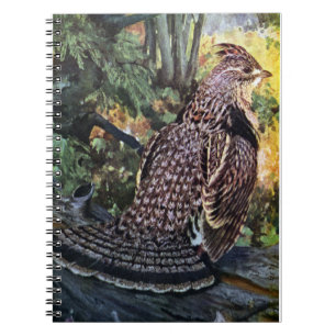 Ruffed Grouse in the Forest Notebook