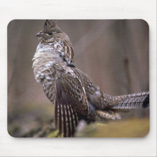 Ruffed Grouse Mouse Pad