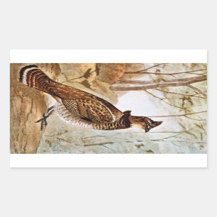 Ruffed Grouse Rectangular Sticker