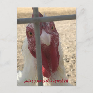 Ruffle Someone's Feathers Chicken Card