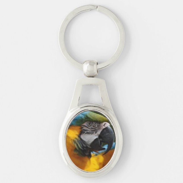 Ruffled Blue and Gold Macaw Key Ring (Front)