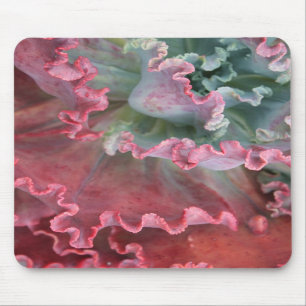 Ruffled echeveria mousepad