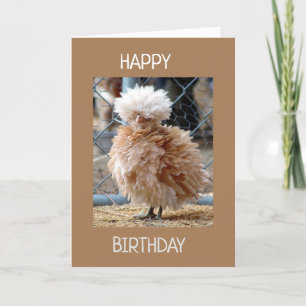 RUFFLED FEATHERED CHICKEN SAY HAPPY BIRTHDAY CARD