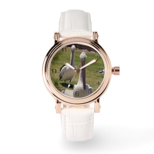 Ruffled Feathers: Pelicans With A Attitude, Watch (Front)