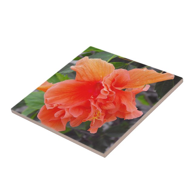 Ruffled Orange Flower Tile (Side)