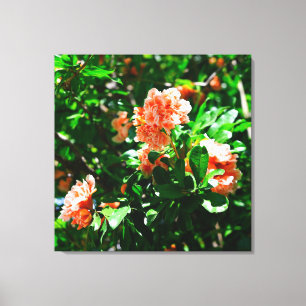 Ruffled Pomegranate Blossoms and Green Leaves Canvas Print