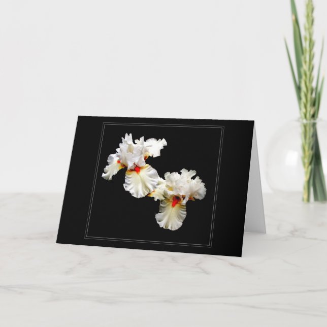 'Ruffles' Blank Greeting Card (Front)