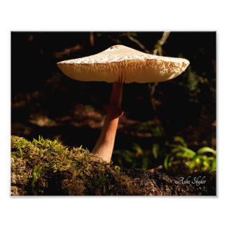 Ruffles Photo Print