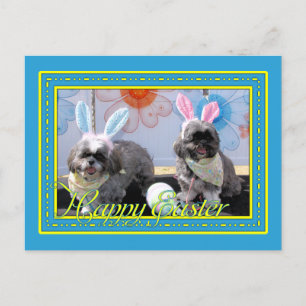 Ruffles_Riley_Shih_Tzu_Miller-2 Postcard