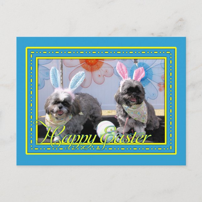 Ruffles_Riley_Shih_Tzu_Miller-2 Postcard (Front)