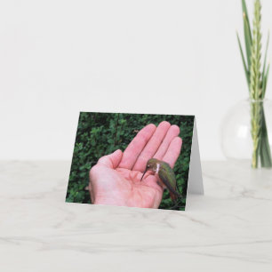 Rufous/Allen's Hummingbird ・ Joe Sweeney - card