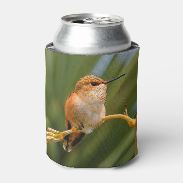 Rufous Hummingbird at Rest Can Cooler (Can Front)