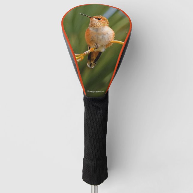 Rufous Hummingbird at Rest Golf Head Cover (Front)